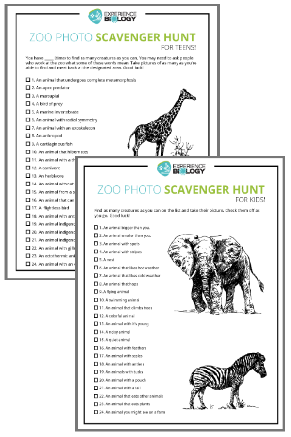 Zoo Photo Scavenger Hunt — for the whole family! Experience Biology